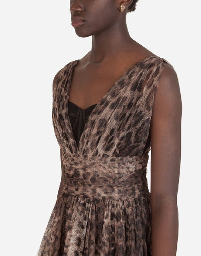 Shop Dolce & Gabbana Long Tulle Dress With Leopard Print In Animal Print