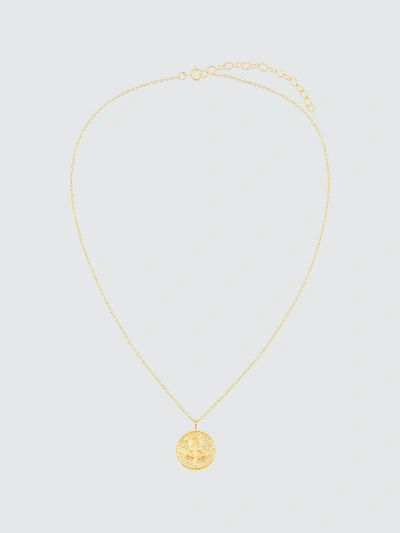Shop Adina's Jewels - Verified Partner Rose Coin Necklace In Gold