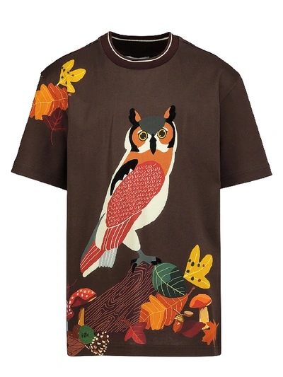 Shop Dolce & Gabbana Kids T-shirt For Boys In Brown