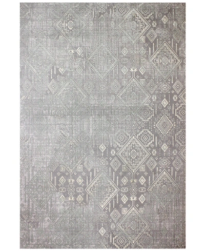 Shop Bb Rugs Lama Lma-101 Grey 8'8" X 11'6" Area Rug