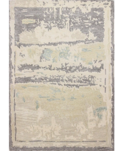 Shop Bb Rugs Elements S217 Ivory And Gray 3'6" X 5'6" Area Rug