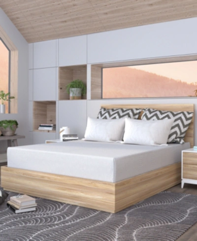 Dusk & Dawn 12" Medium Mattress- Twin