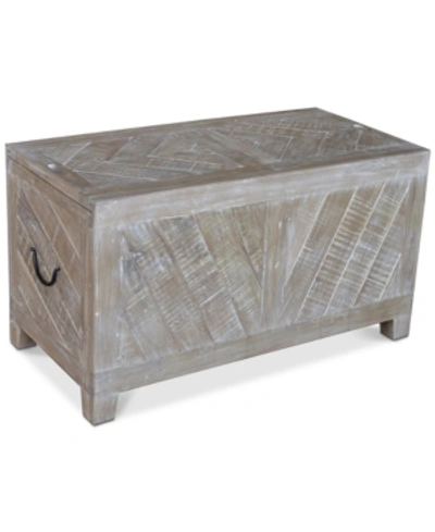 Shop Furniture Bengal Storage Cocktail Table In Grey