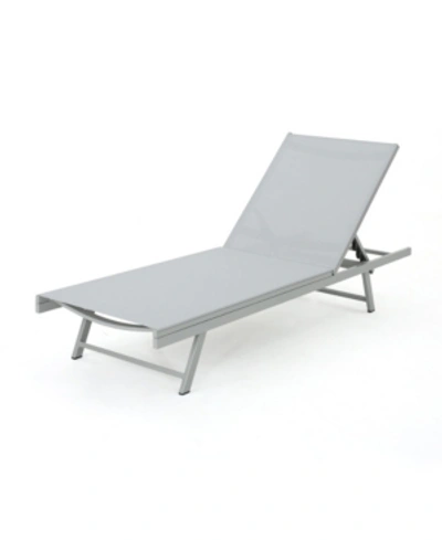 Shop Noble House Salton Outdoor Chaise Loungers With Frame, Set Of 2 In Gray