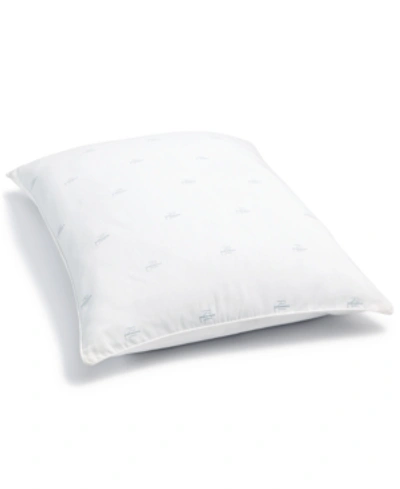 Lauren Ralph Lauren Logo Extra Firm Density Down Alternative Pillow, King  In White | ModeSens