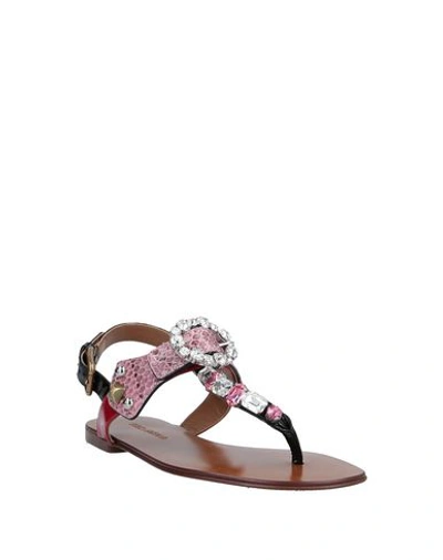 Shop Dolce & Gabbana Toe Strap Sandals In Black