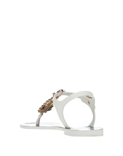 Shop Dolce & Gabbana Toe Strap Sandals In White