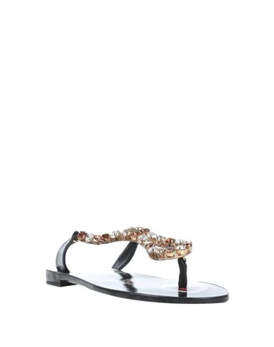 Shop Dolce & Gabbana Woman Thong Sandal Black Size 6.5 Calfskin, Lambskin