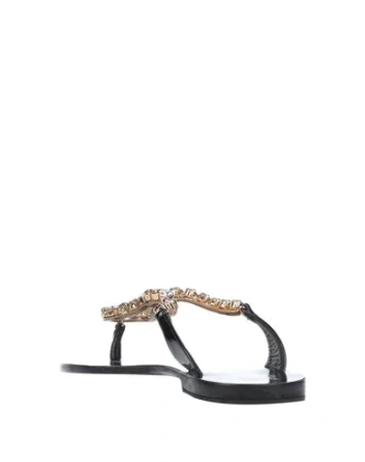 Shop Dolce & Gabbana Woman Thong Sandal Black Size 6.5 Calfskin, Lambskin