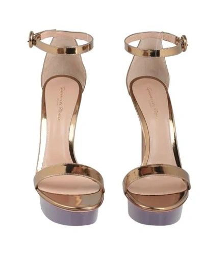 Shop Gianvito Rossi Woman Sandals Gold Size 10.5 Soft Leather