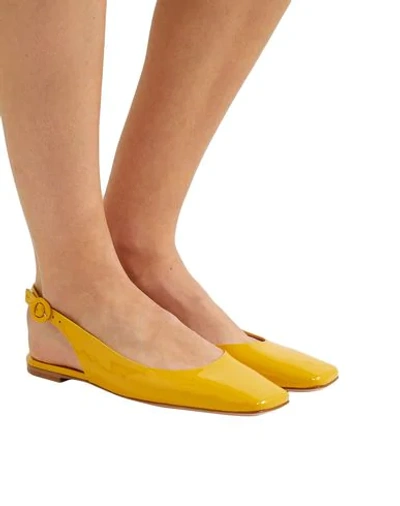 Shop Gianvito Rossi Ballet Flats In Yellow
