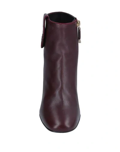 Shop Bruno Premi Ankle Boot In Maroon