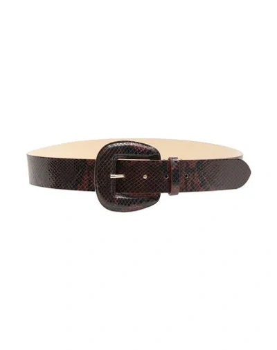 Shop 8 By Yoox Belt In 100% Python-print Leather In Brown