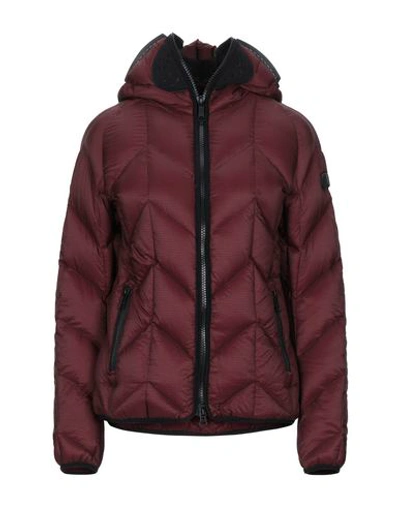 Shop Ai Riders On The Storm Down Jacket In Cocoa