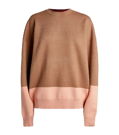 Shop Roksanda Karuo Colour-block Sweater