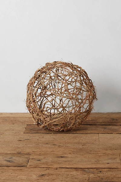 Shop Anthropologie Stargazer Nature Effects Illuminated Vine Sphere By Terrain In Assorted Size S