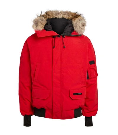 Shop Canada Goose Chilliwack Bomber Jacket