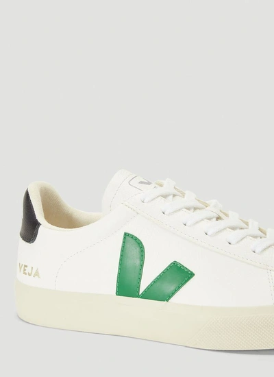 Shop Veja Campo Sneakers In White