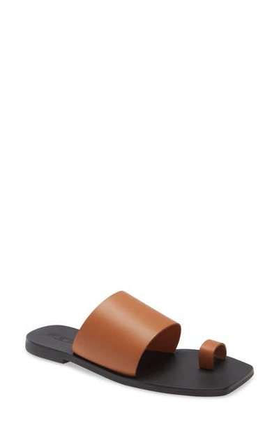 Shop Sol Sana Toe Loop Slide Sandal In Tan Leather