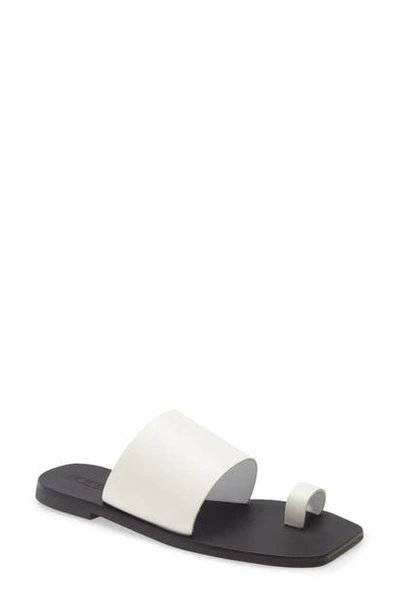 Shop Sol Sana Toe Loop Slide Sandal In White Leather