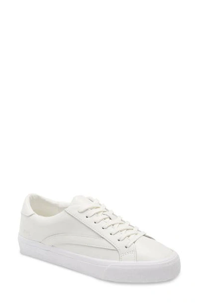 Shop Madewell Sidewalk Low Top Sneaker In Ivory/ Pale Parchment Leather