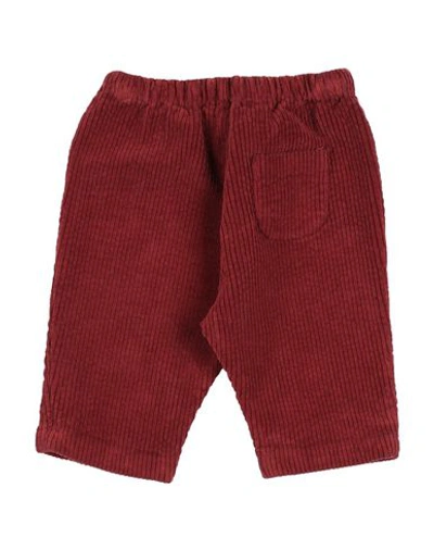 Shop De Cavana Newborn Girl Pants Brown Size 3 Cotton, Elastane