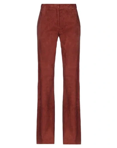 Shop Antonelli Casual Pants In Brown