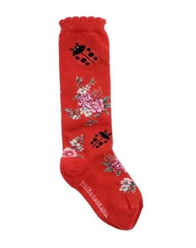 Shop Dolce & Gabbana Short Socks In Red