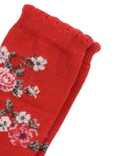 Shop Dolce & Gabbana Short Socks In Red