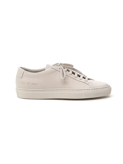 Shop Common Projects Grey Leather Sneakers