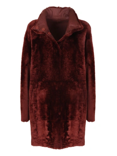 Shop Drome Brown Leather Coat