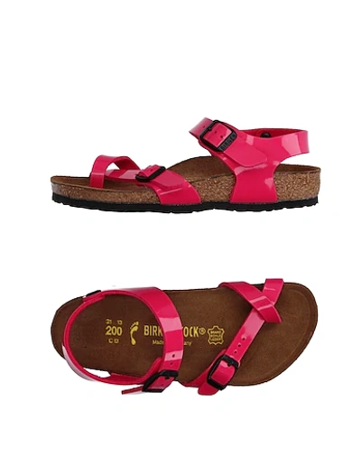 Shop Birkenstock Toddler Girl Thong Sandal Fuchsia Size 9c Textile Fibers In Pink