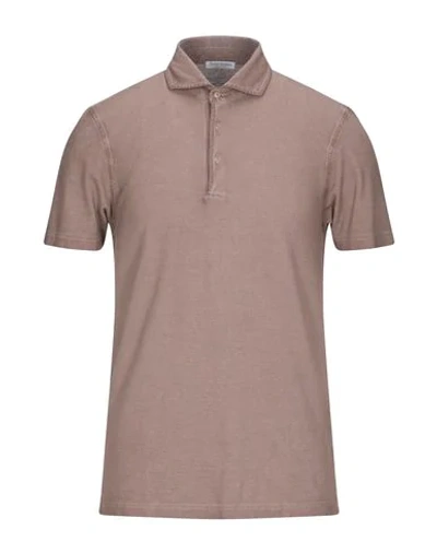 Shop Gran Sasso Polo Shirts In Brown