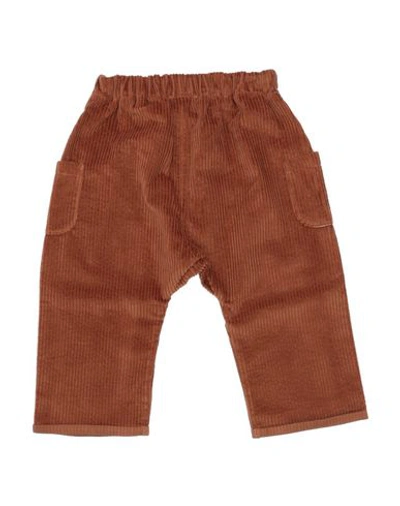Shop Aletta Pants In Brown