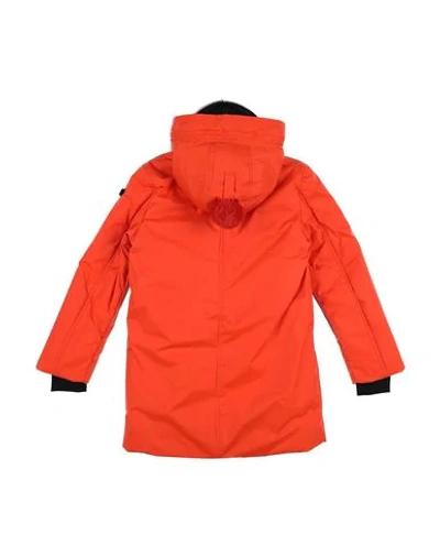 Shop Ai Riders On The Storm Jacket In Orange