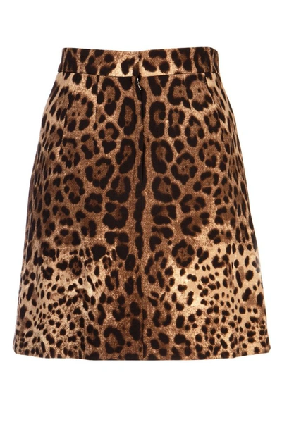 Shop Dolce & Gabbana Animal Print Mini Skirt In Multi