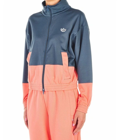 Shop Adidas Originals Adidas Women's Blue Jacket