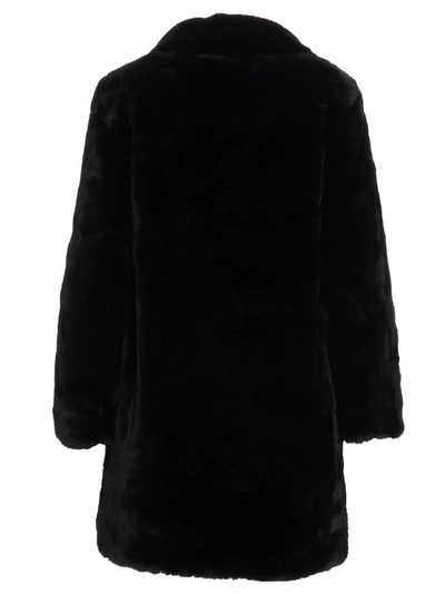 Shop Apparis Women's Black Outerwear Jacket