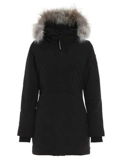 Shop Canada Goose Victoria Padded Parka In Black