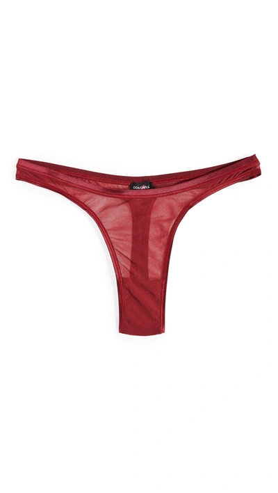 Shop Cosabella Soire Confidence Classic Thong In Deep Ruby