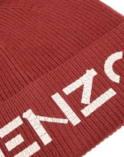 Shop Kenzo Hats In Brick Red