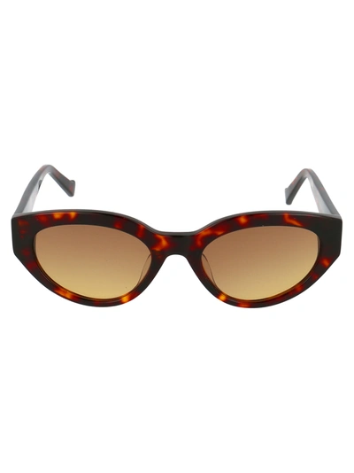 Shop Replay Ry616s02 Sunglasses In Tortoise