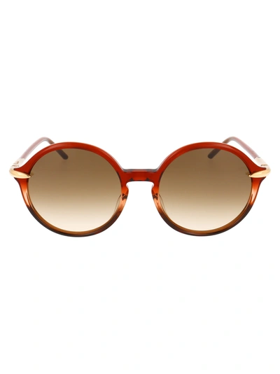 Shop Pomellato Pm0036s Sunglasses In 002 Brown Brown Brown