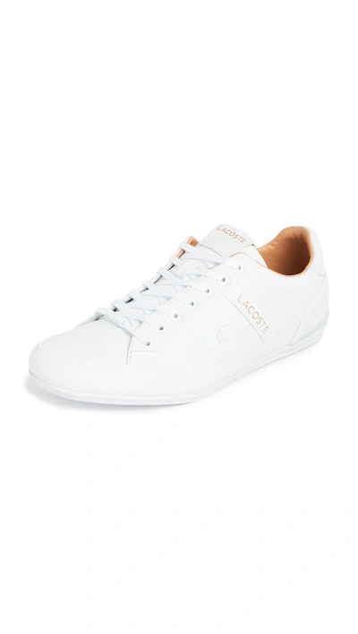 Shop Lacoste Chaymon Sneakers In White/tan