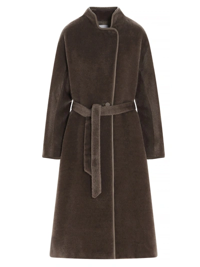 Shop Agnona Coat In Marrone