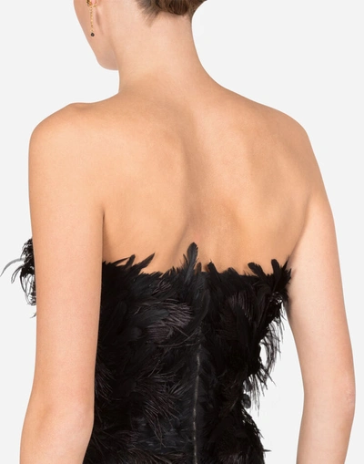 Shop Dolce & Gabbana Feather Bustier With Crystal Rhinestone Decoration In Black