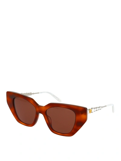 Shop Gucci Crystal Temples Havana Over Sunglasses In Light Brown