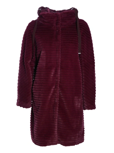 Shop Herno Long Faux Fur In Burgundy Color In Red