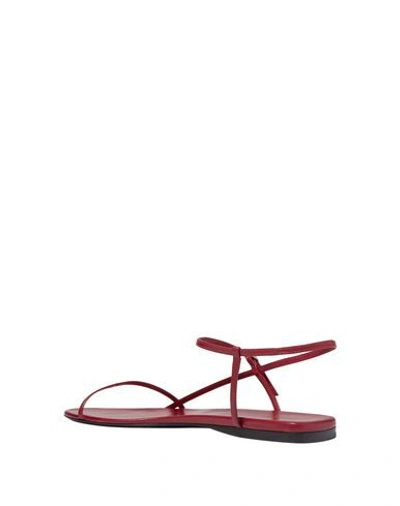 Shop The Row Sandals In Red