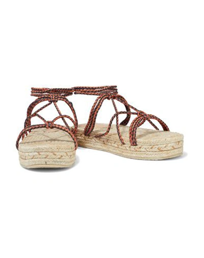 Shop Zimmermann Sandals In Tan